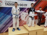 Fotogaléria / Taekwondo Czech Open 2018
