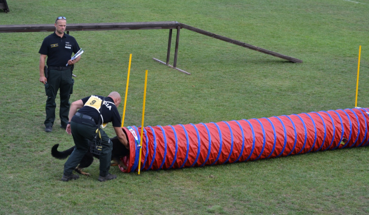 2. fotografia fotogalérie Fotogaléria / XVIII. Krajský pretek služobných psov vo výkone