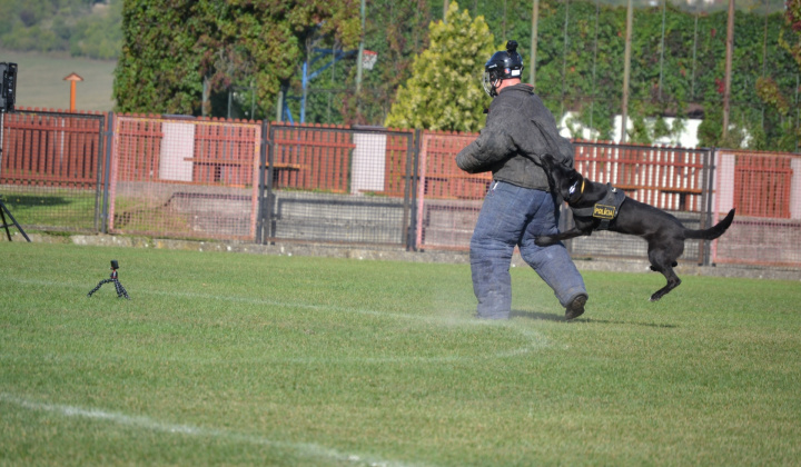 6. fotografia fotogalérie Fotogaléria / XVIII. Krajský pretek služobných psov vo výkone