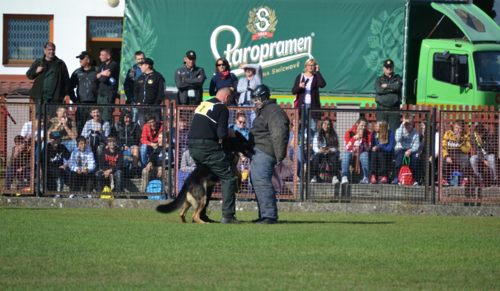 7. fotografia fotogalérie Fotogaléria / XVIII. Krajský pretek služobných psov vo výkone