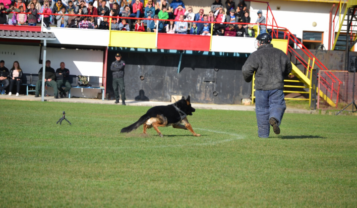10. fotografia fotogalérie Fotogaléria / XVIII. Krajský pretek služobných psov vo výkone