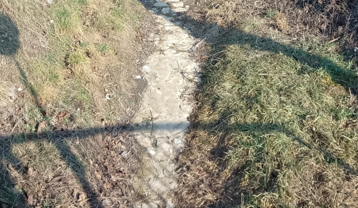 Zobraziť fotografiu