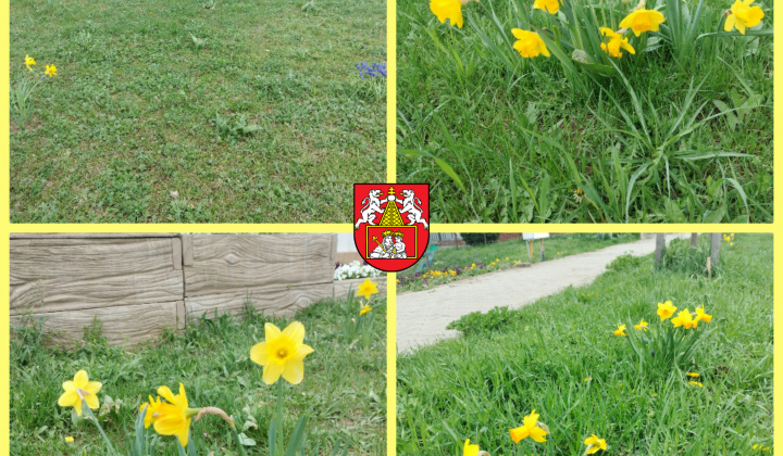 Zobraziť fotografiu