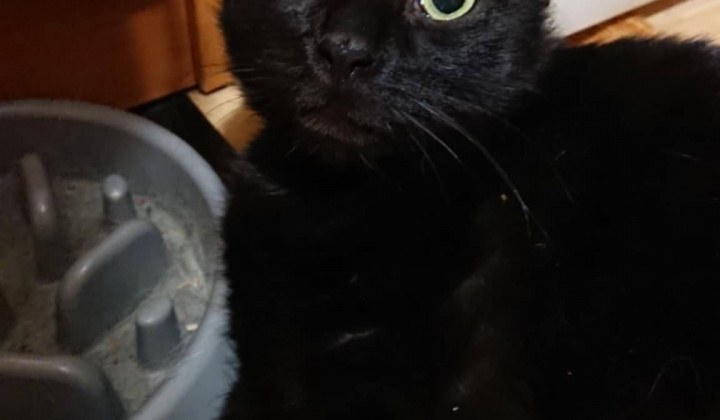 Zobraziť fotografiu