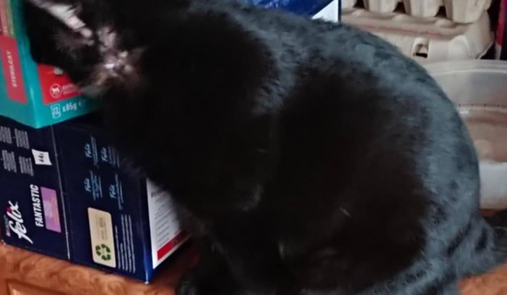 Zobraziť fotografiu