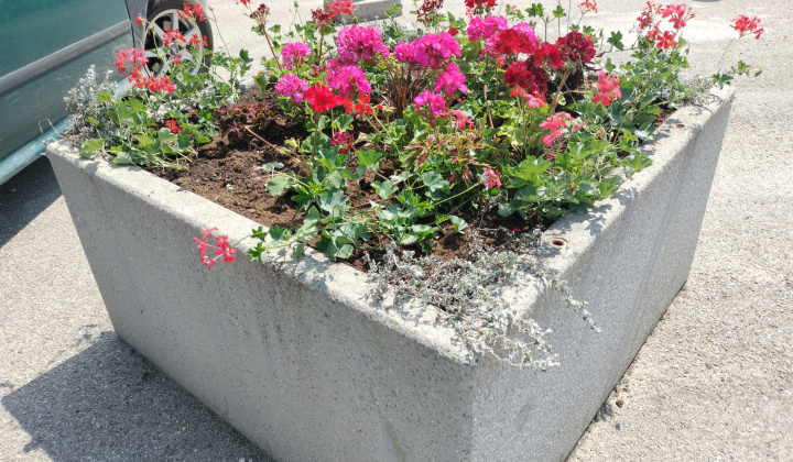 Zobraziť fotografiu