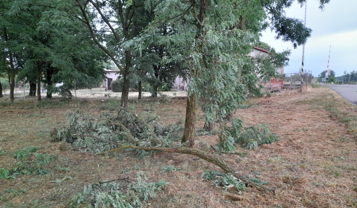 Zobraziť fotografiu