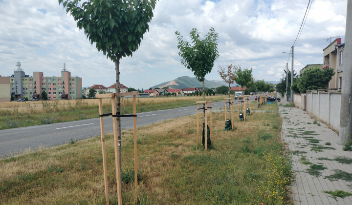 Zobraziť fotografiu