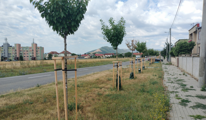 Zobraziť fotografiu