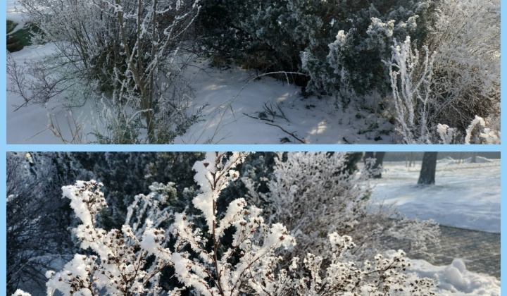 Zobraziť fotografiu