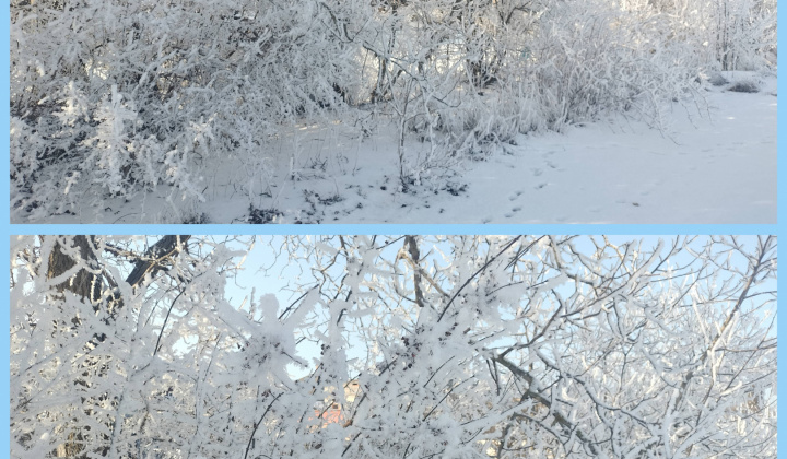 Zobraziť fotografiu