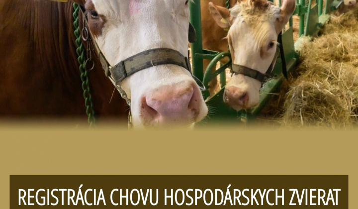 Fotka - nový článok