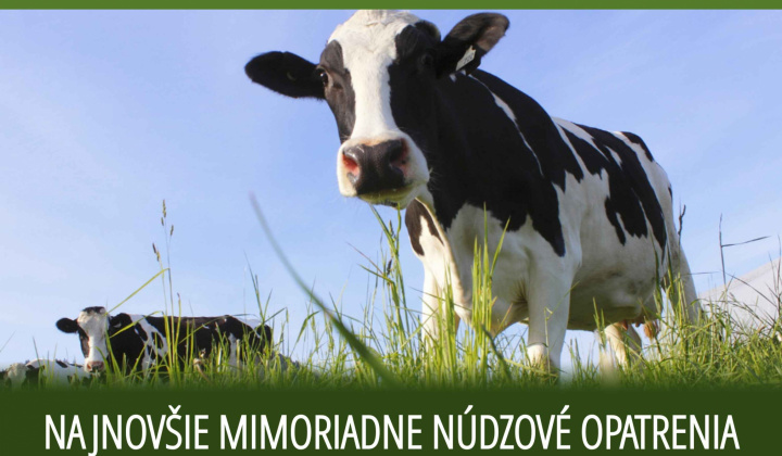 Fotka - Najnovšie mimoriadne núdzové opatrenia / Legújabb rendkívüli vészhelyzeti intézkedések