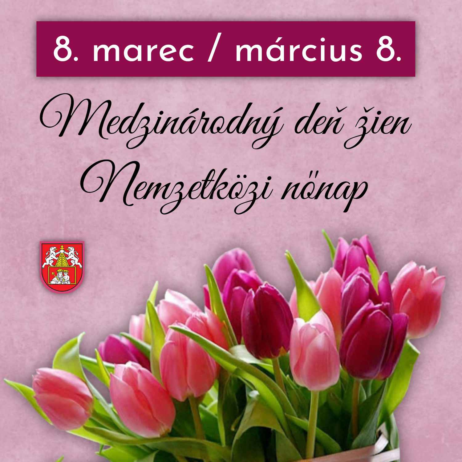 Fotka - 8. marec Medzinárodný deň žien / Március 8. Nemzetközi nőnap