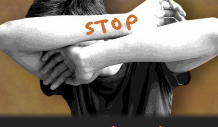 Fotka - nový článok