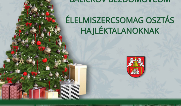 Fotka - Rozdávanie potravinových balíčkov bezdomovcom / Élelmiszercsomag osztás hajléktalanoknak