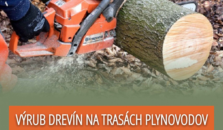 Fotka - Výrub drevín na trasách plynovodov / Fakivágás a gázszállítási útvonalakon